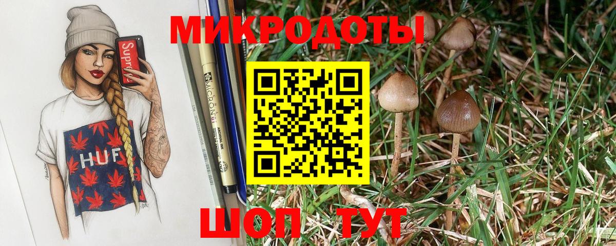 Галлюциногенные грибы MAGIC MUSHROOMS Переславль-Залесский